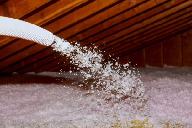 Best Spray Foam Insulation in Bell Nyon, CA