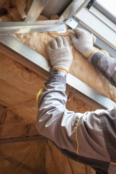 Best Fiberglass Insulation in Bell Nyon, CA