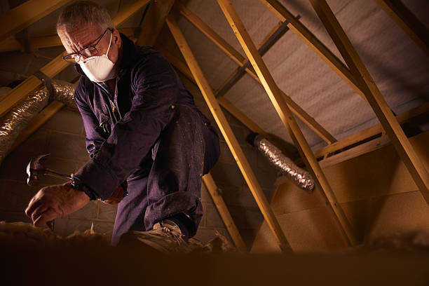 Best Commercial Insulation in Bell Nyon, CA