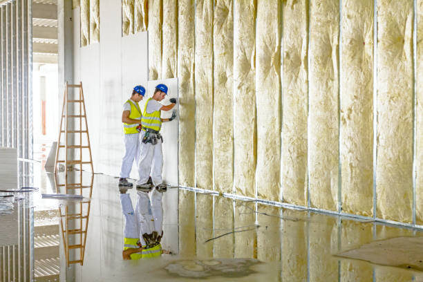 Best Eco-Friendly Insulation in Bell Nyon, CA
